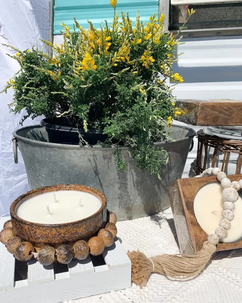 flowers and sit outside with citronella candle