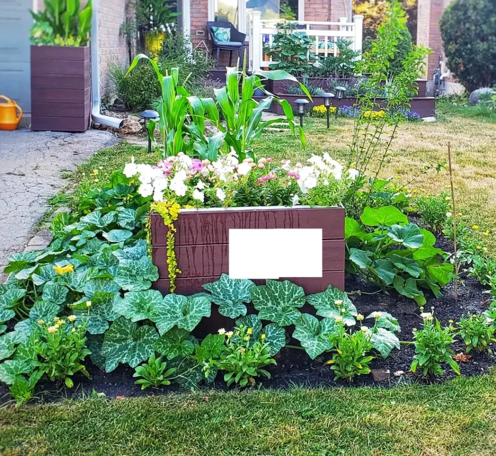 giant flower box front porch (1)