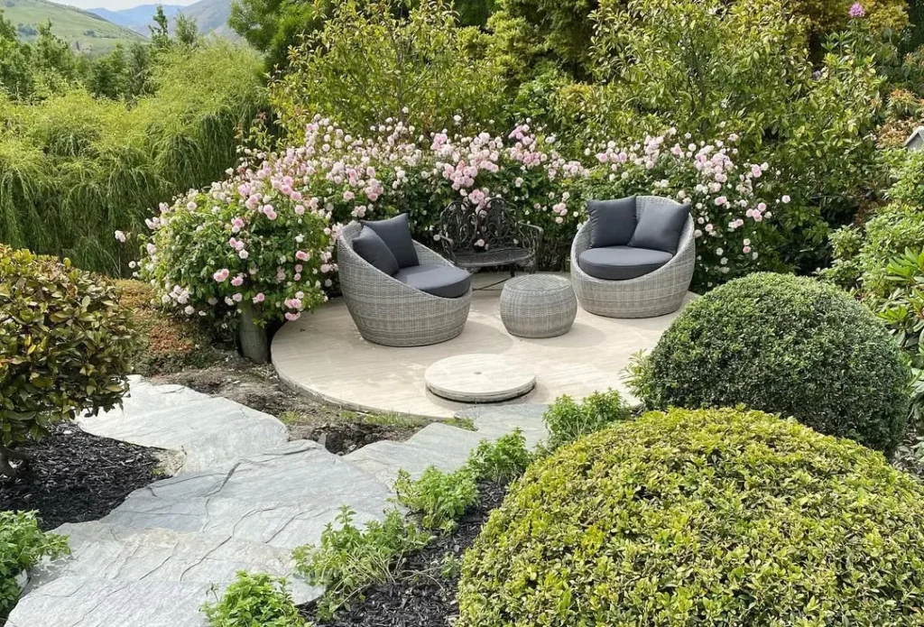 great sunny spot with pastel pink heritage roses