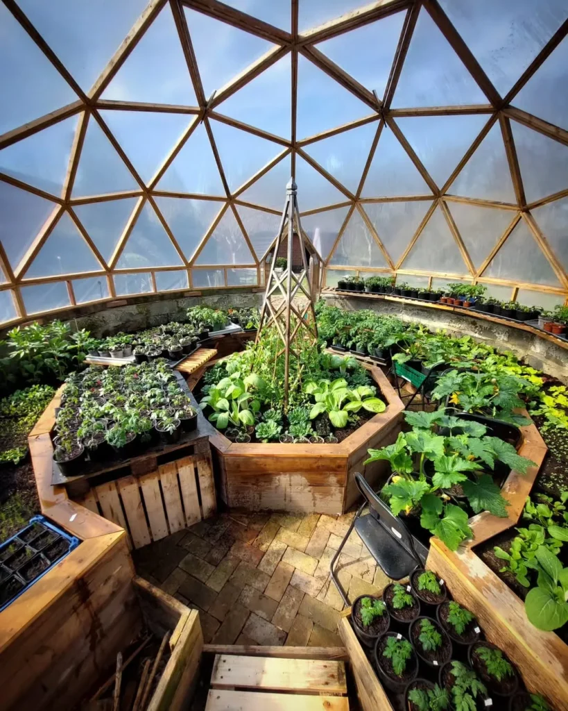 greenhouse is so cool permaculture