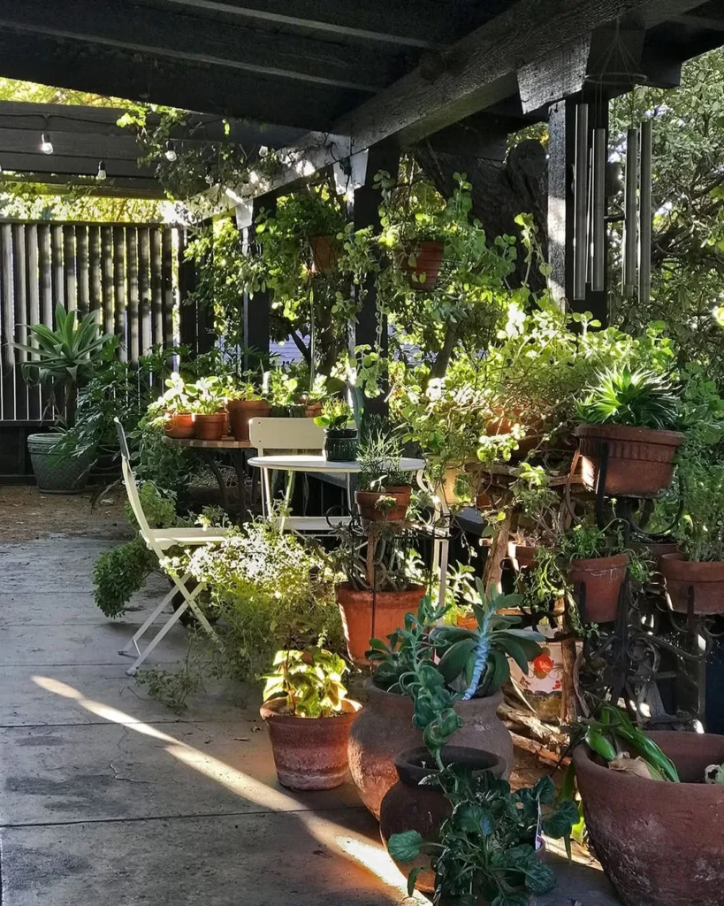 hanging plant ideas for front porch gardens
