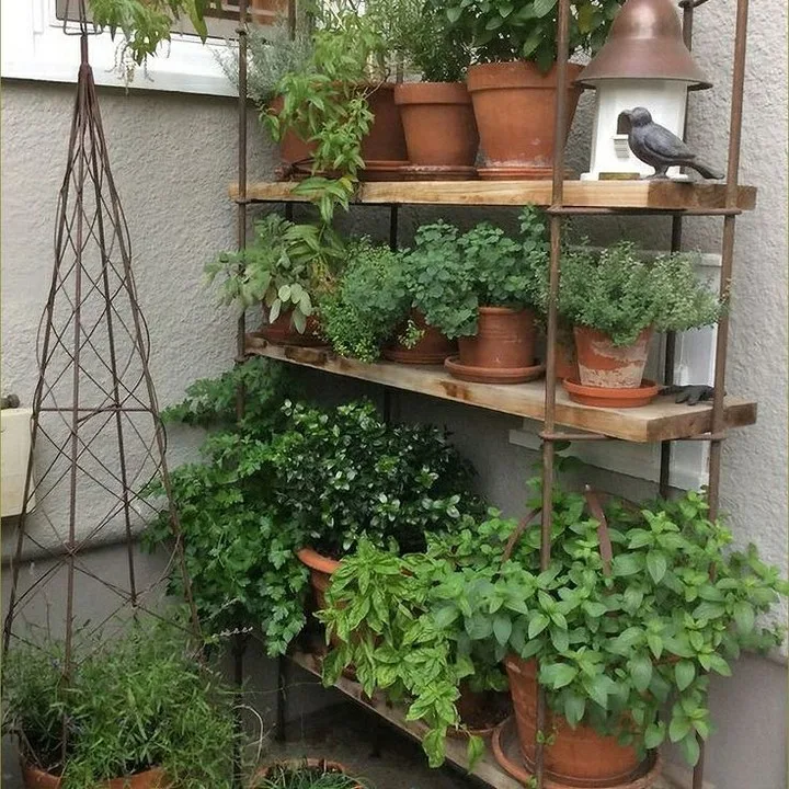 herb garden