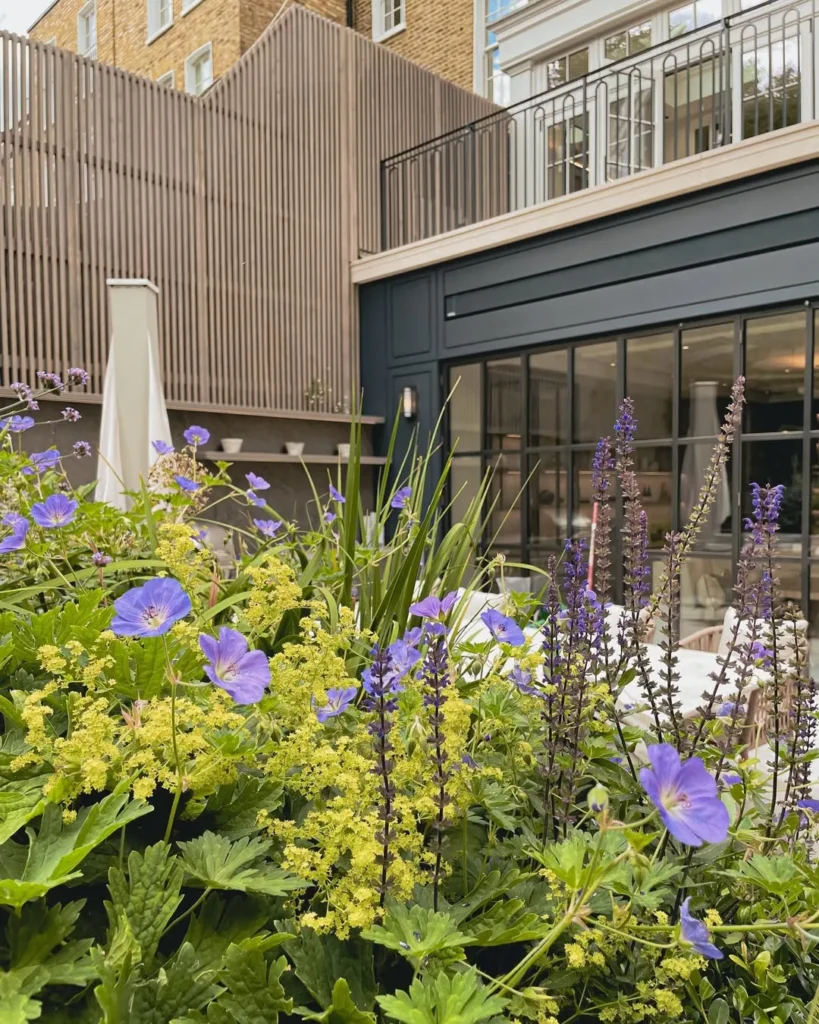 luxury garden design