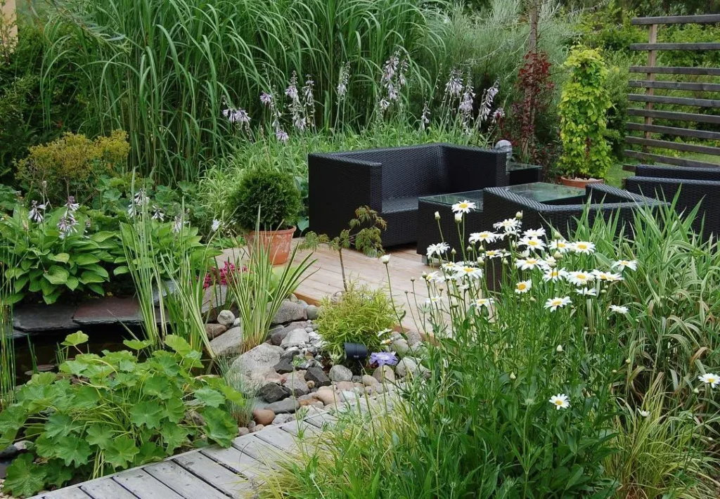 minimalist backyard landscaping