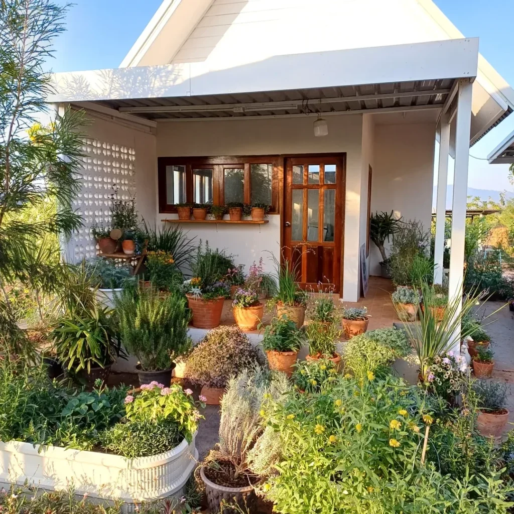 mixed plant combinations