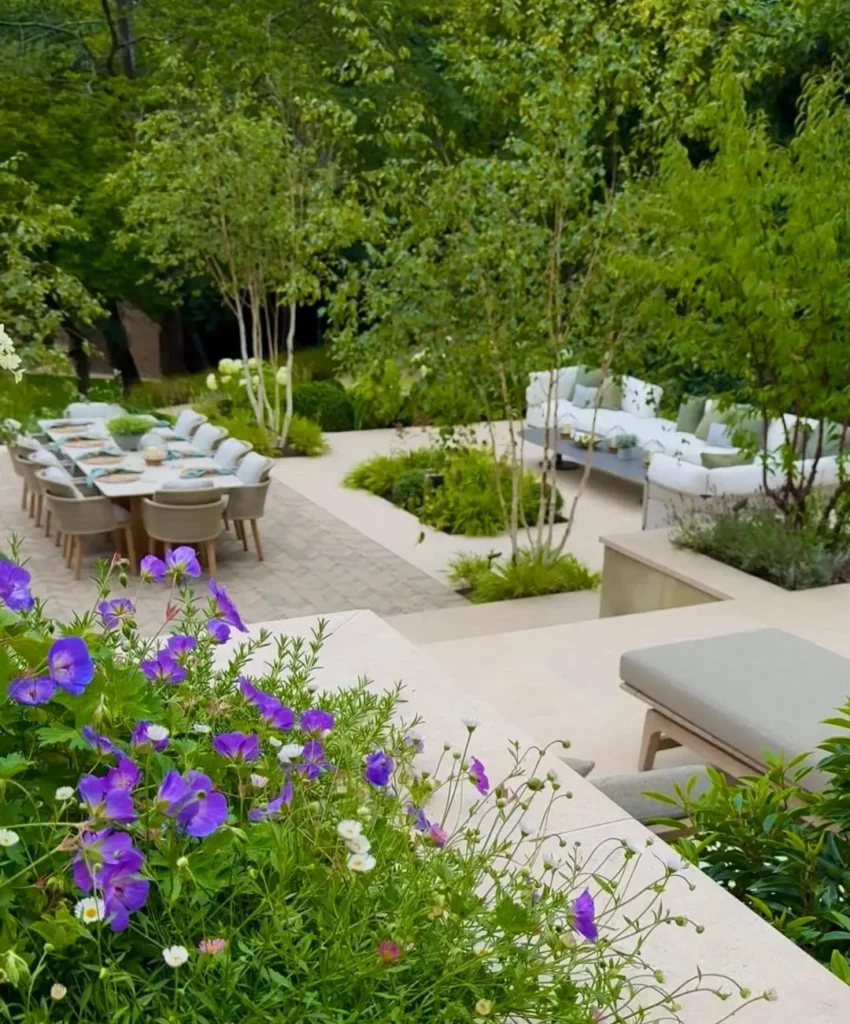 multi stemmed trees and the colour palette