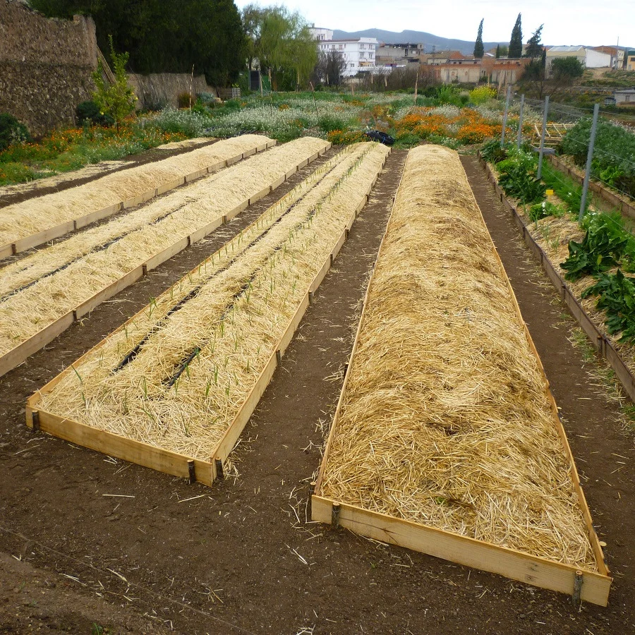 permaculture in the design of cultivation spaces