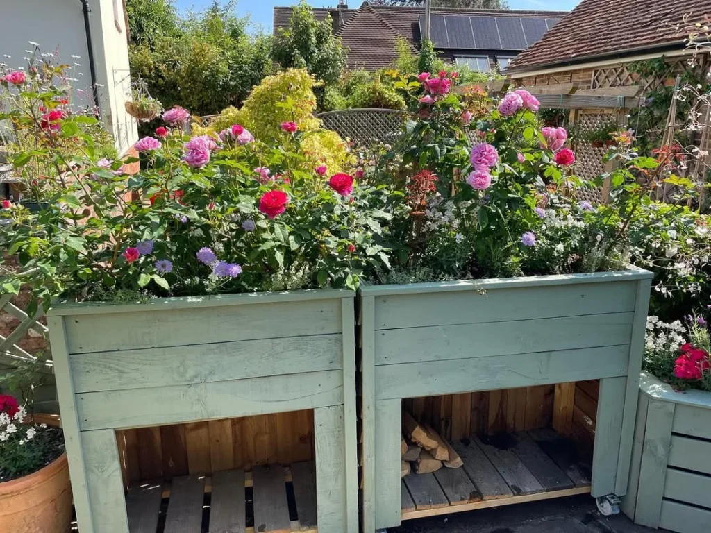 recycled raised bed roses garden