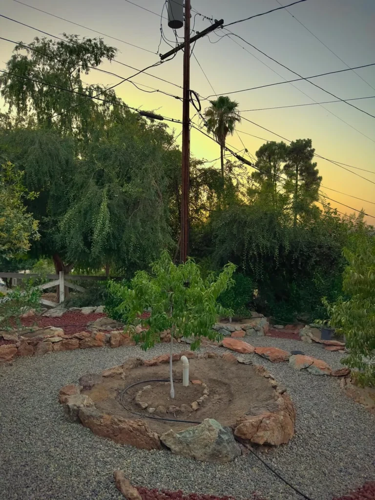 regenerative farming permaculture