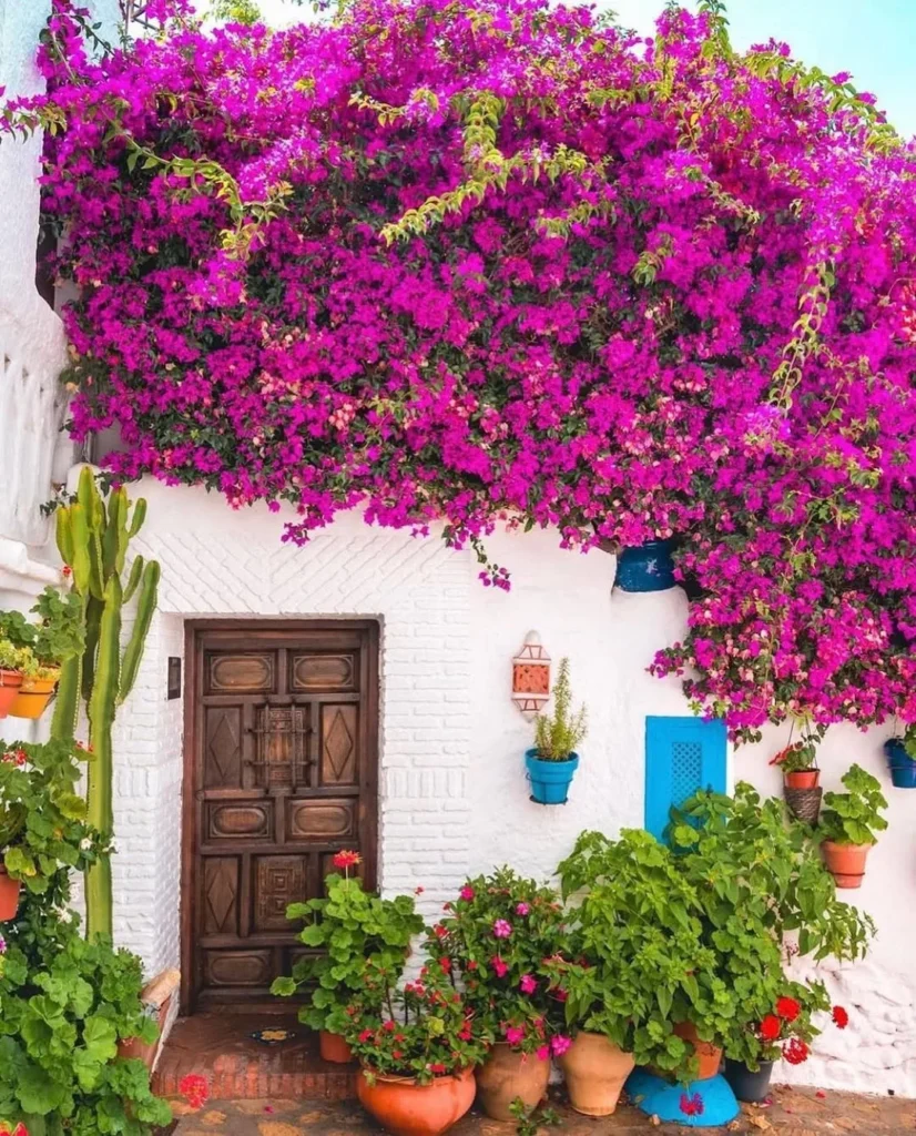small front porch garden designs creative ways to add greenery