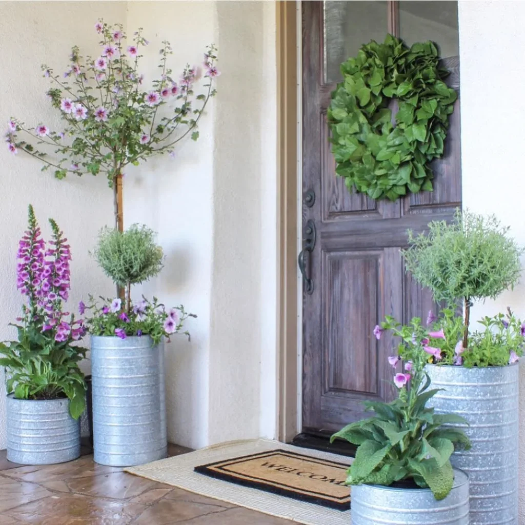the tall purple plant front porch ideas