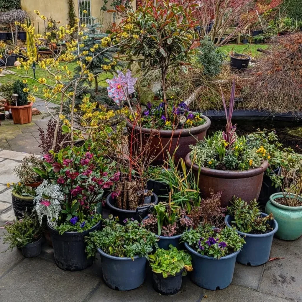 themed container collection garden