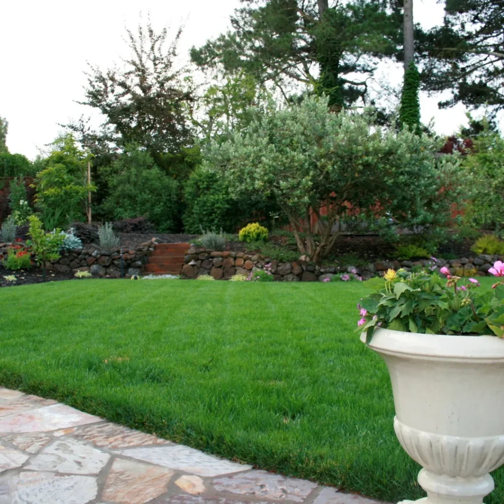 tropical backyard landscaping
