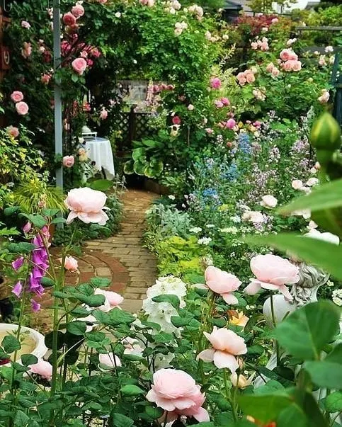 try a mixed bed rose garden
