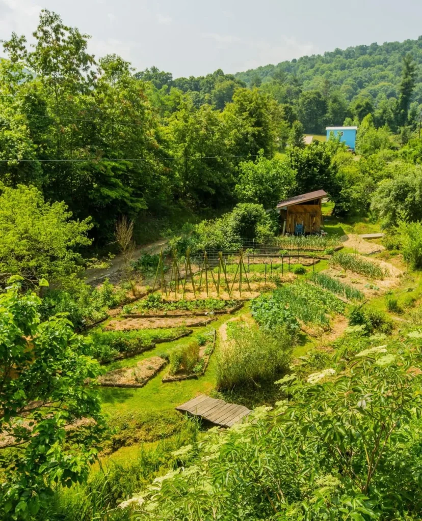unlock the power of permaculture eco friendly food forests