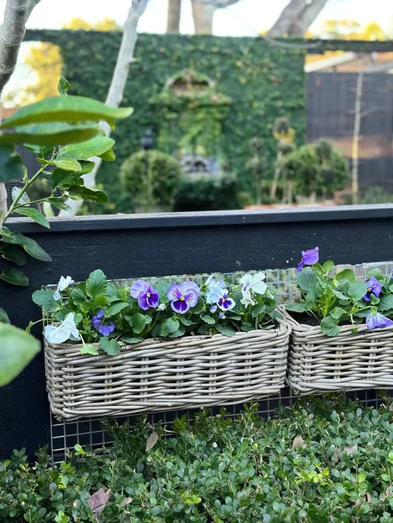 utilize railings garden ideas