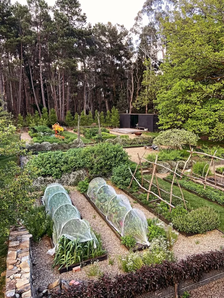 wicking bed garden permaculture