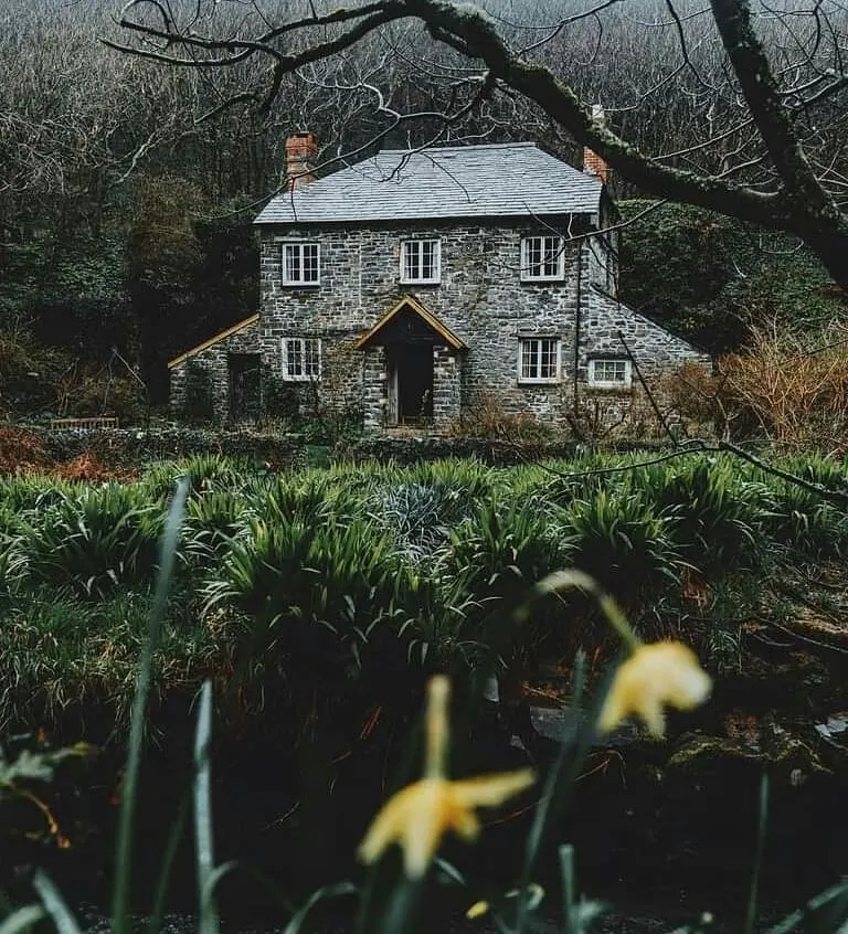 charming stone house nestled wooden garden