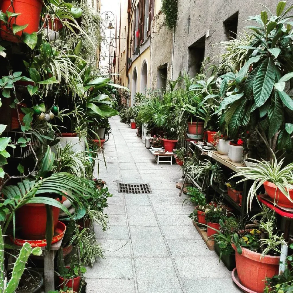 indoor plant garden ideas