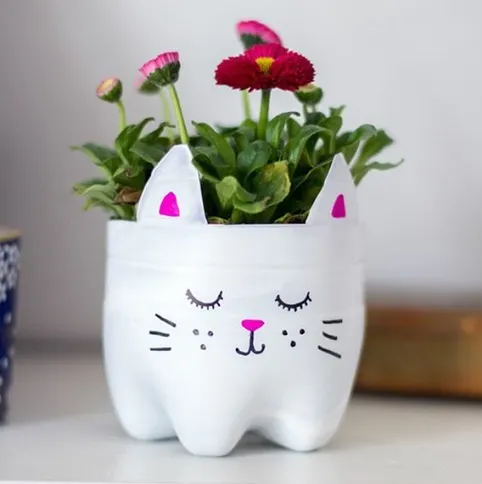 PInk flower pot