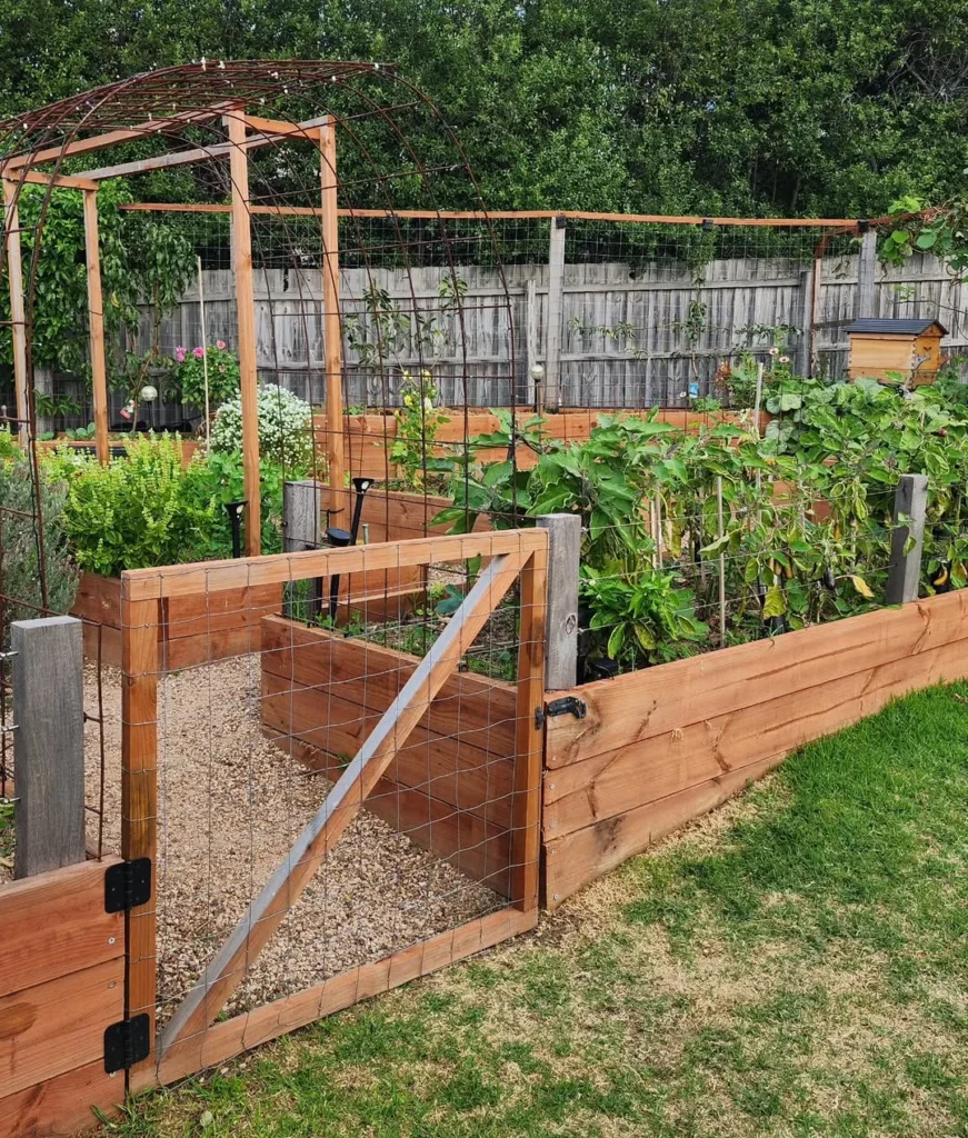 corner climb trellis 