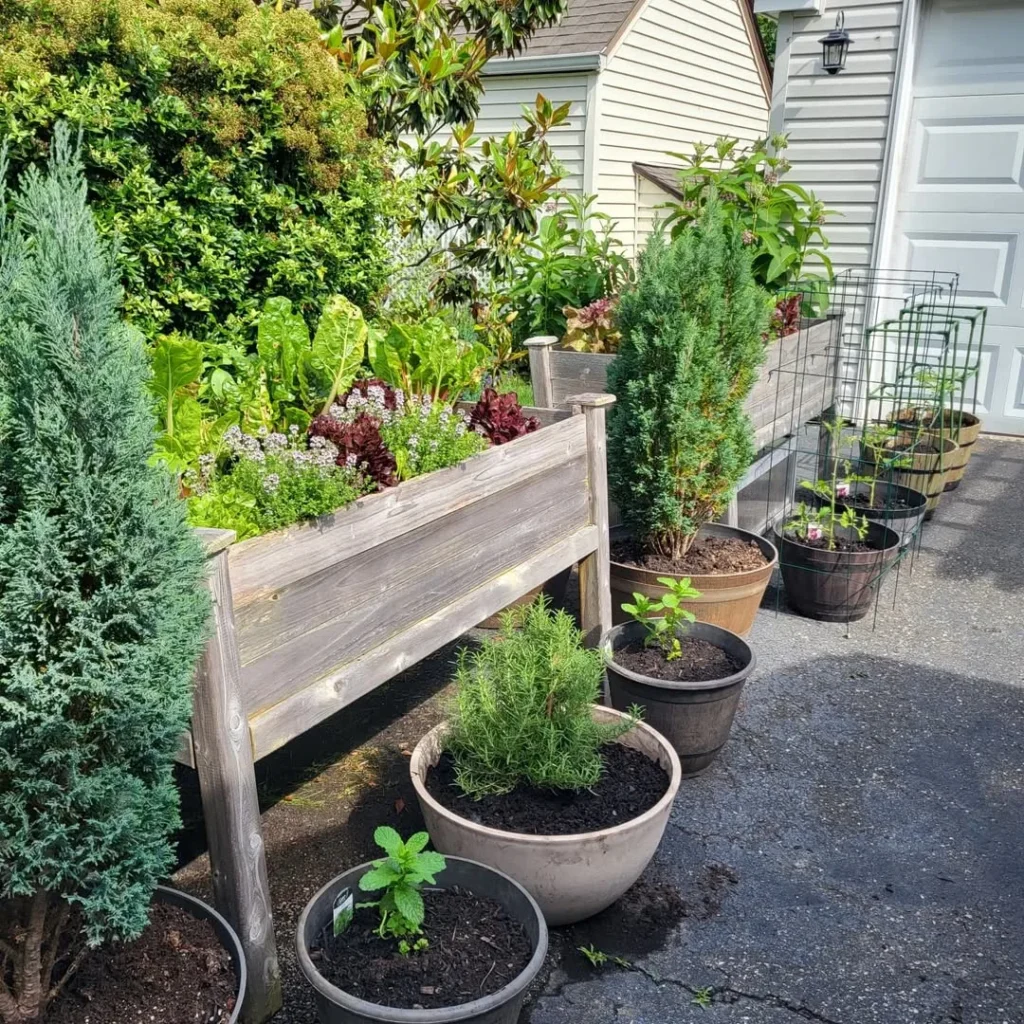 portable pot patch garden