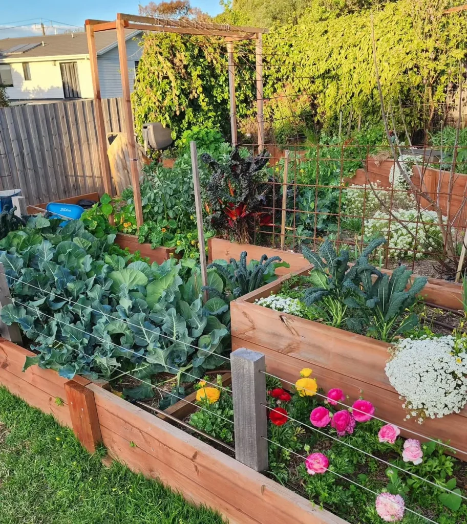 raised bed bliss 