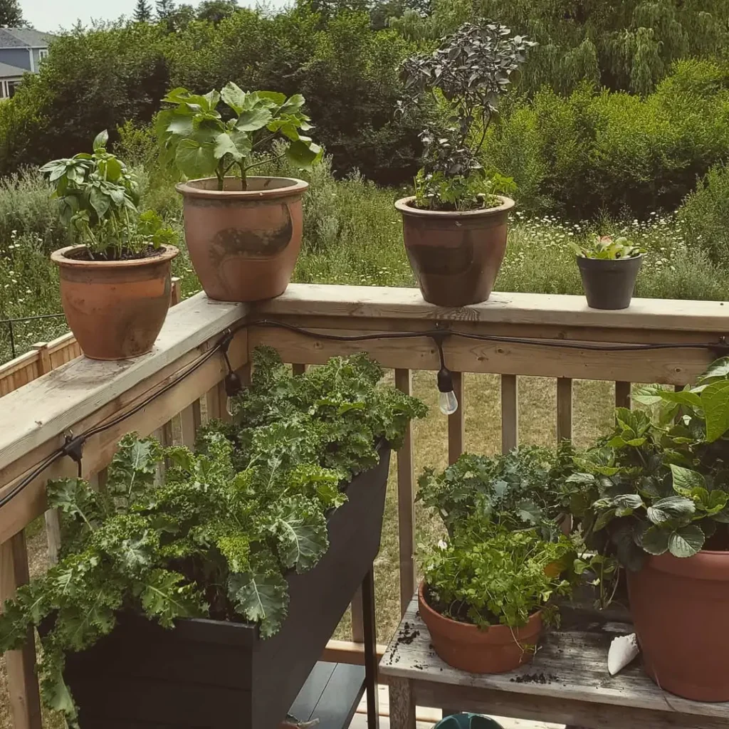 beautiful herb garden outdoor ideas for balconies