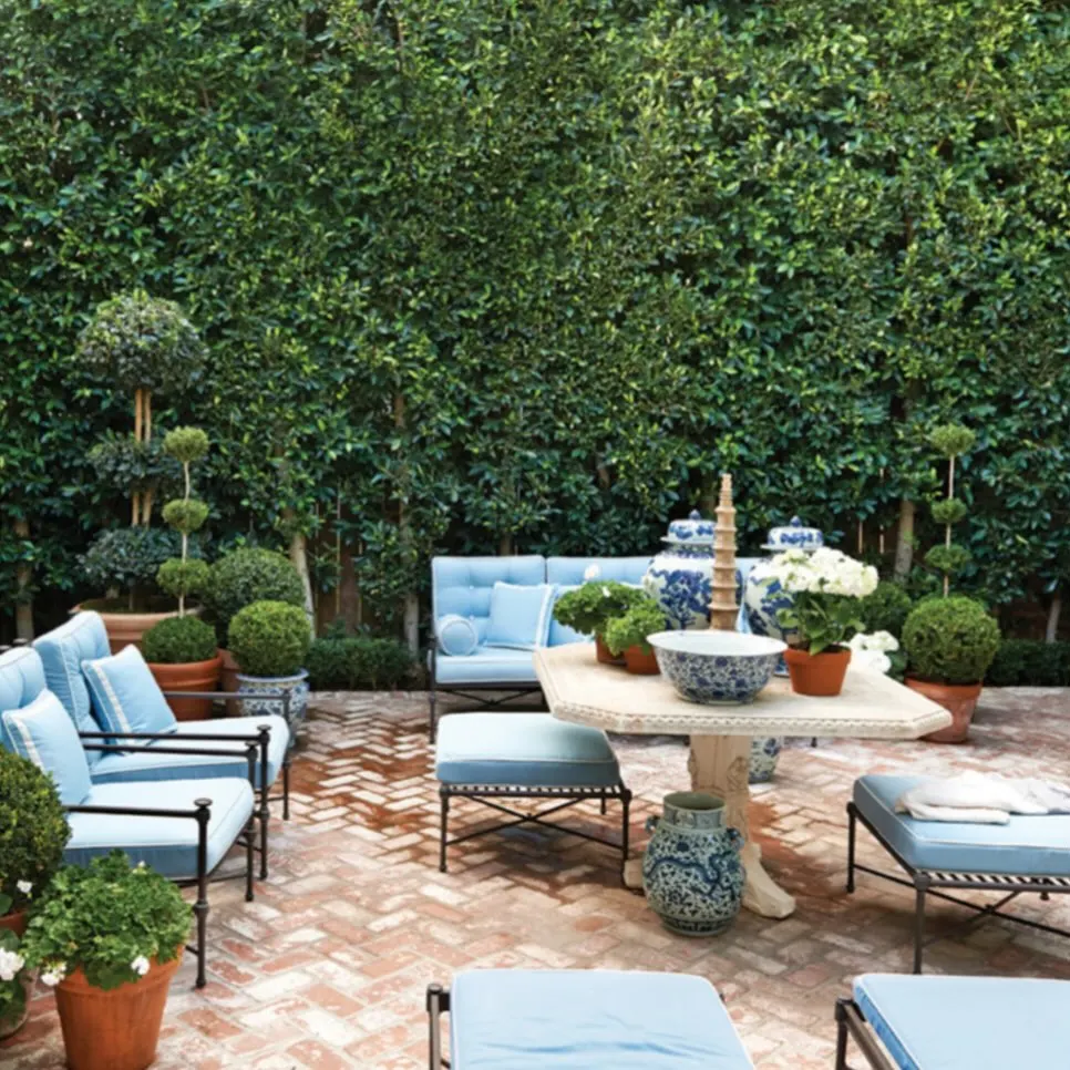 blue and white porcelain pot plant