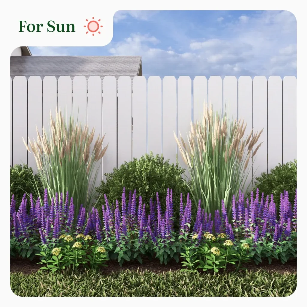budget plants for fence ideas