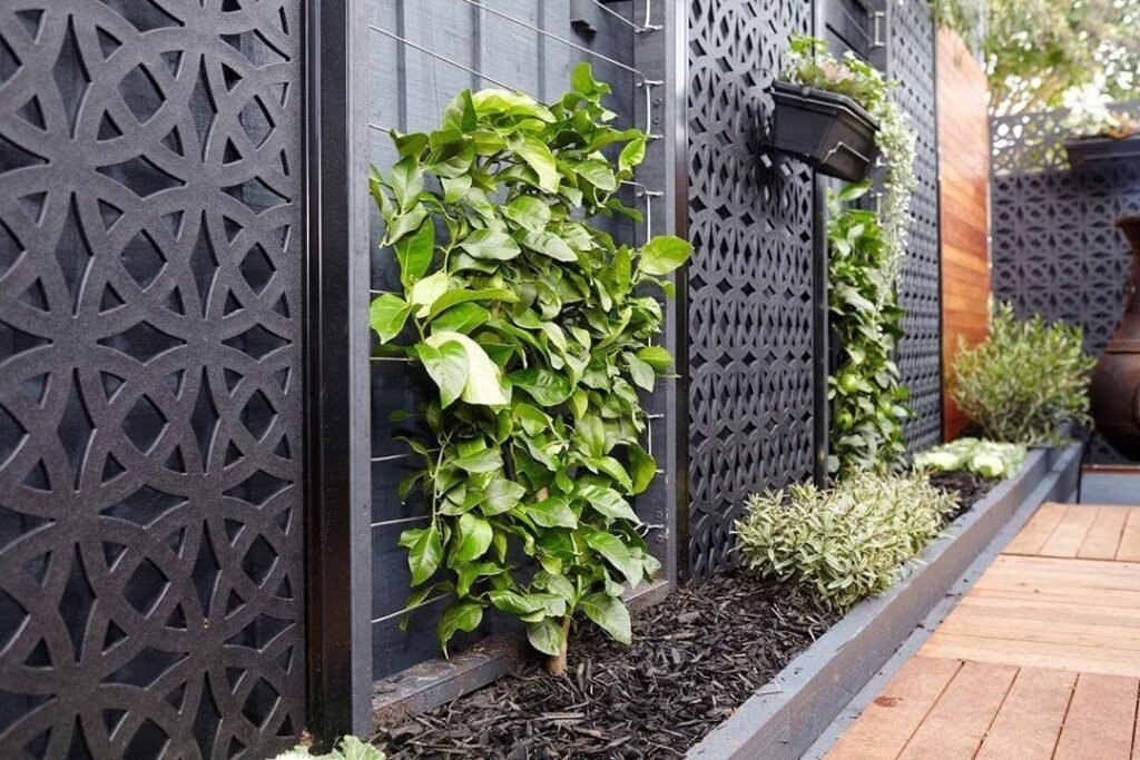 climbing vines cover fences