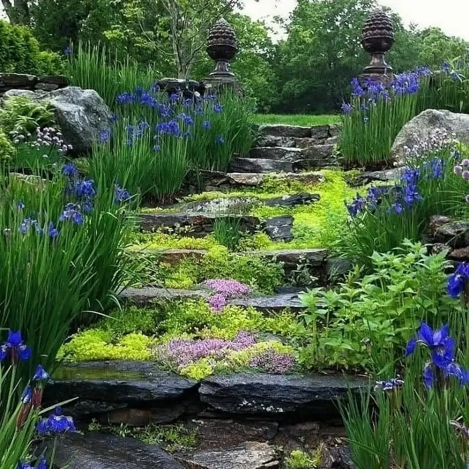 culinary herb gardening