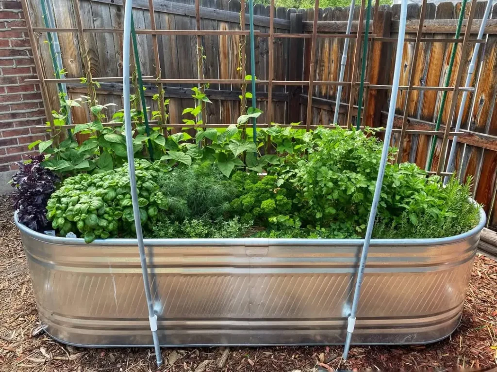 easy herb garden outdoor ideas in pots