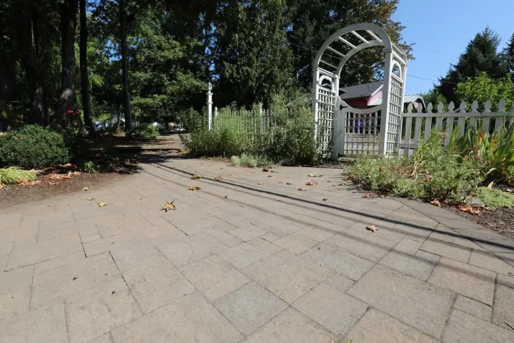 fast plants for fence designs