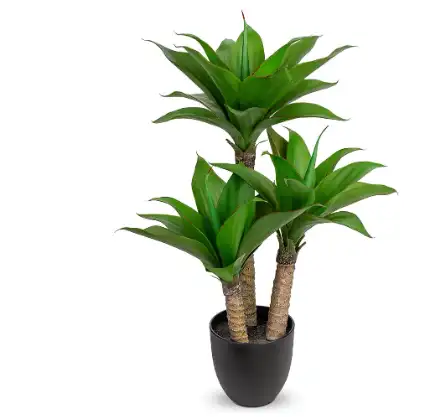faux agave plants