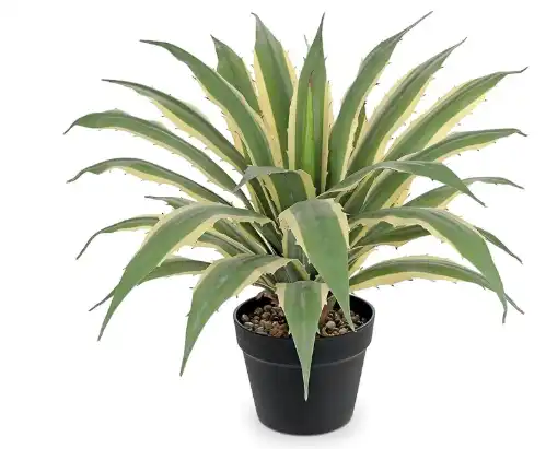 faux succulent aloe tropical plants