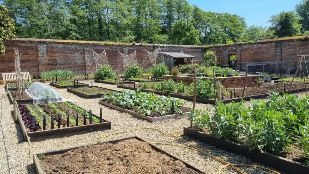 flavorful foliage grove 