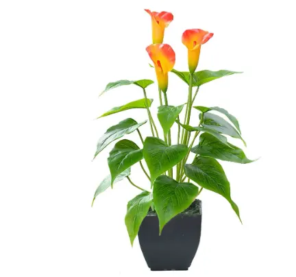 flower plants calla lily faux small potted plant