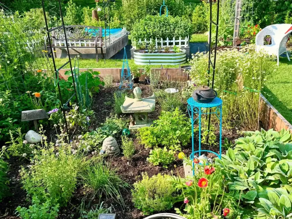 freshly paradise garden