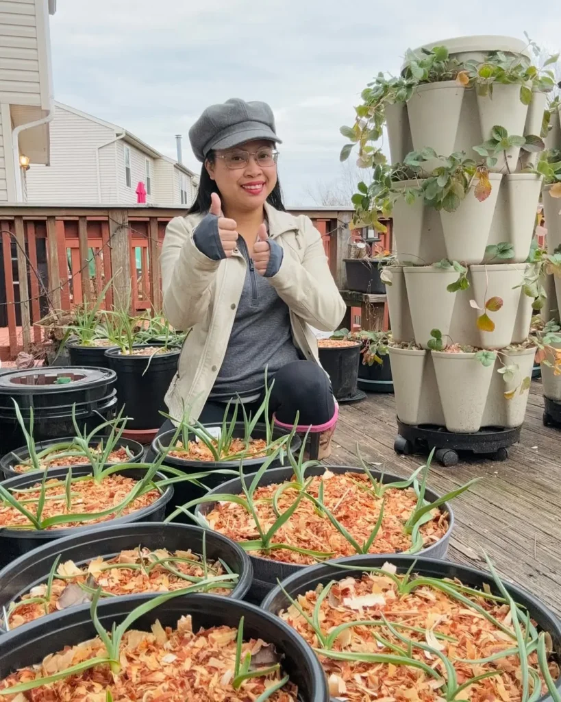 Low Maintenance Vegetable Gardening in Pots Perfect for Busy Gardeners garlic plants in pots