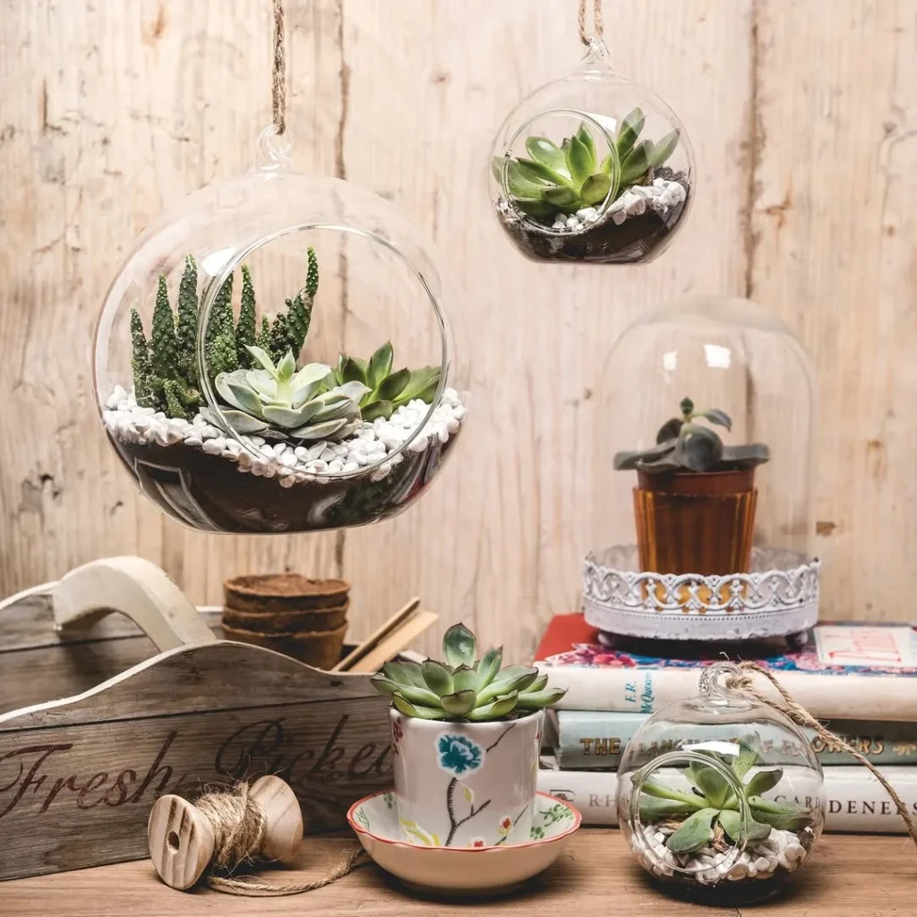 glass hanging terrarium