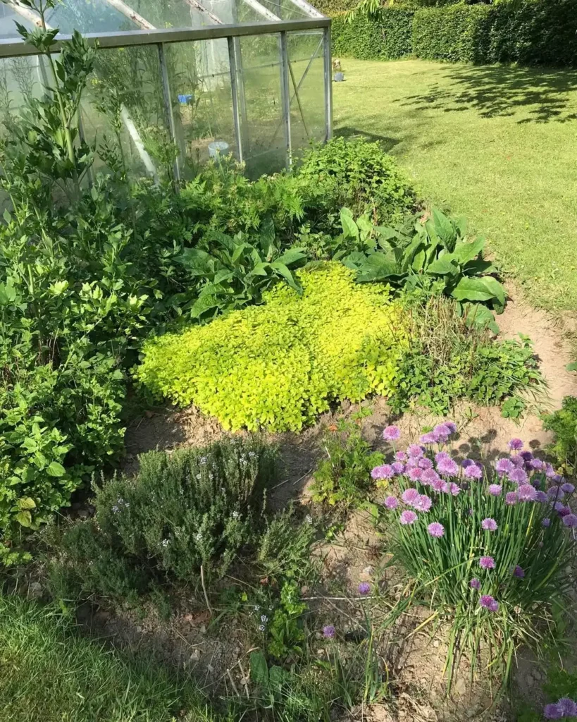 herb garden outdoor ideas for sunny corners