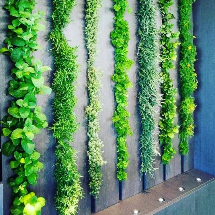 livingwalls herb garden