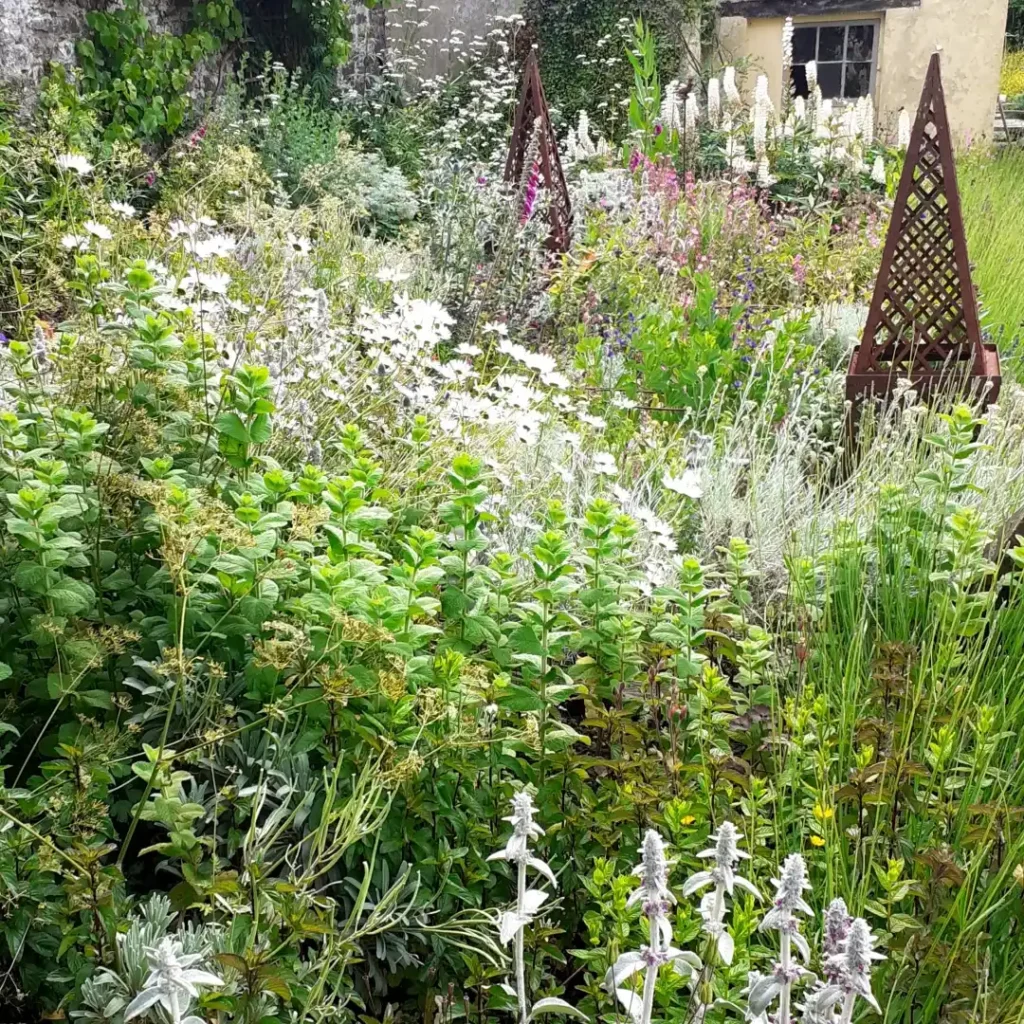 low maintenance herb garden outdoor ideas (1)