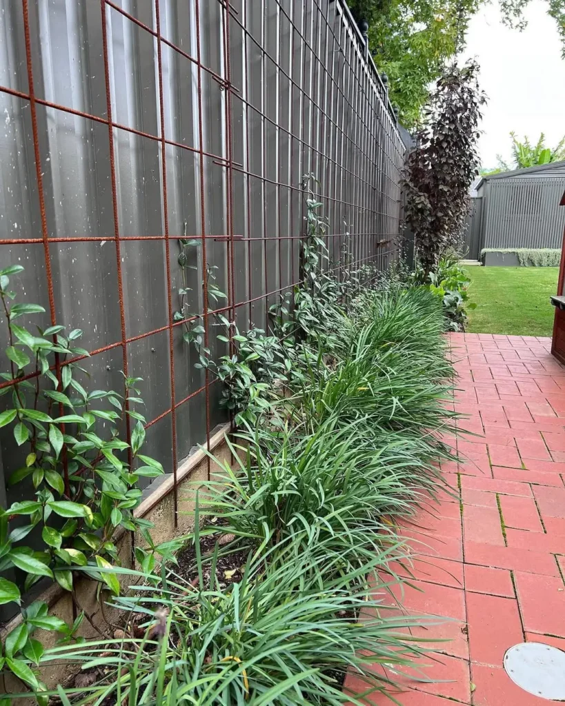 low maintenance plant fences