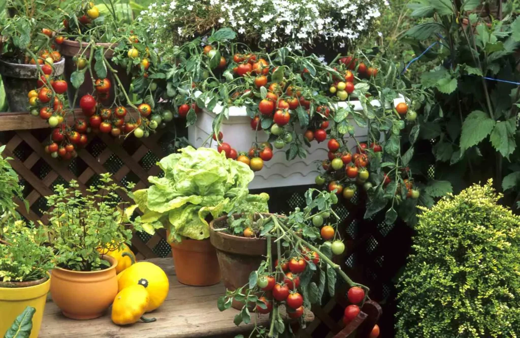 low maintenance vegetable gardening in pots perfect for busy gardeners