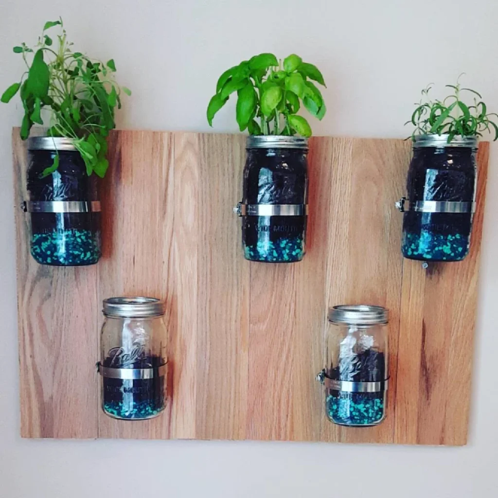 mason jar herb garden