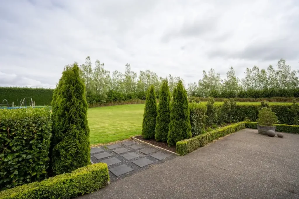 natural plants along privacy fences