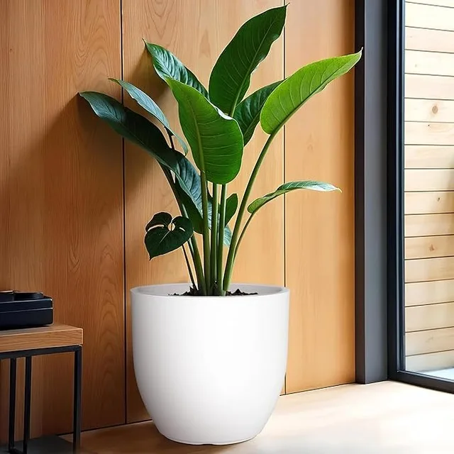 outdoor pot gamla tree