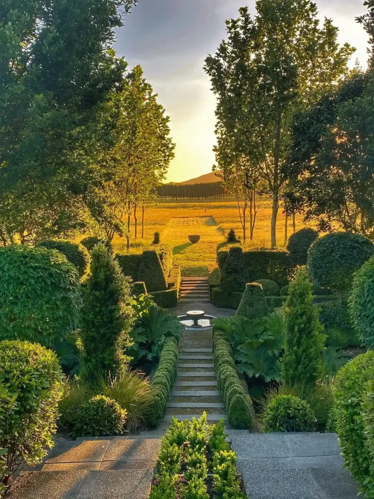 perennial plants for fences